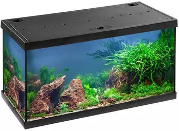 Eheim aquastar 54 LED schwarz