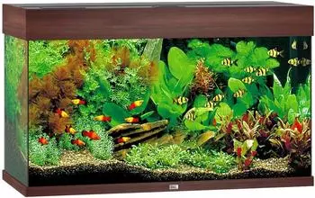 Juwel Aquarium Juwel Rio 125 LED ohne Schrank schwarz