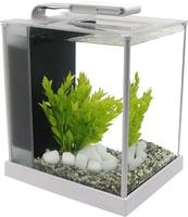 Fluval 10515, Fluval Spec III schwarz, 10 Liter
