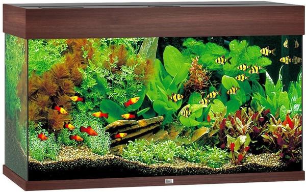 Juwel Aquarium Juwel Rio 125 LED ohne Schrank dunkles Holz Test TOP  Angebote ab 229,99 € (Juni 2023)