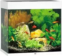 JUWEL Aquarium 13j11450, JUWEL Aquarium JUWEL Lido 120 Aquarium LED Aquarium-Set