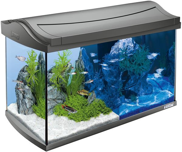 Tetra AquaArt LED Aquarium-Komplettset 60 L anthrazit