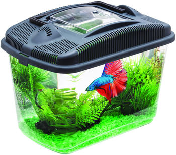 Aquael Betta Kit Aquarium