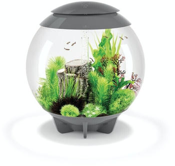 biOrb HALO 60 MCR Grau