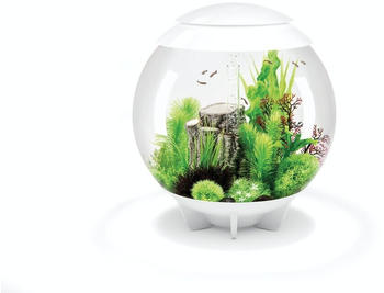 biOrb HALO 60 MCR Weiß