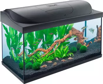 Tetra Starter Line 105 LED
