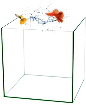Garpet Würfel Aquarium 30x30x30cm