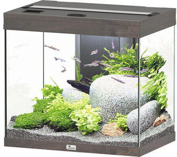 Aquatlantis Splendid 110 Aquarium + EASY LED 2.0 Wildeiche dunkel