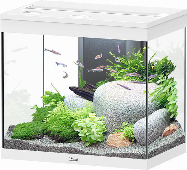 Aquatlantis Splendid 110 Aquarium + EASY LED 2.0 weiß