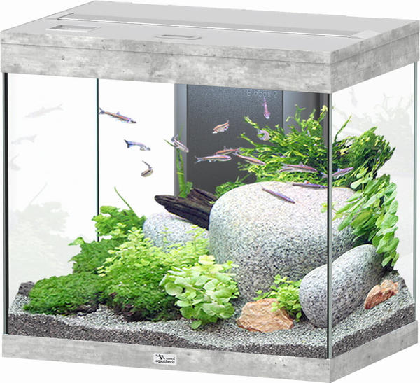 Aquatlantis Splendid 110 Aquarium + EASY LED 2.0 Steinoptik