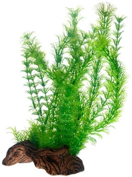 Hobby Aquariumdekoration Flora Root 3 L: 30 cm