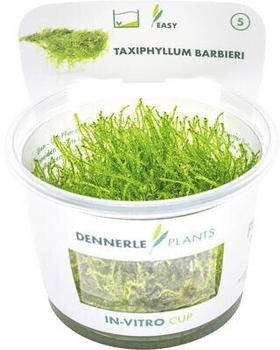Dennerle Plants Aquariumdekoration
