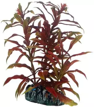 Hobby Nesaea 13 cm