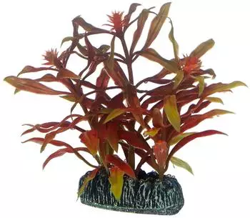 Hobby Nesaea 7 cm