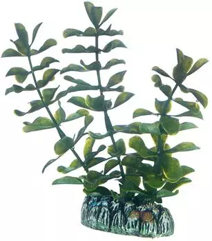Hobby Bacopa 13 cm