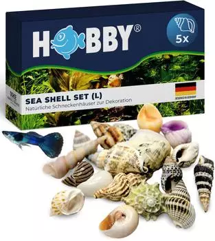 Hobby Natur Sea Shells Aquarieneinrichtung Set L (5 Stück)