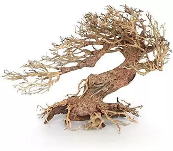 Amtra Holz Oriental WIND 3 MD