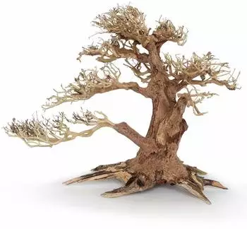 Amtra Holz Oriental WIND 4 MD