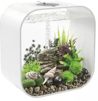 biOrb Decor Set Rock valley