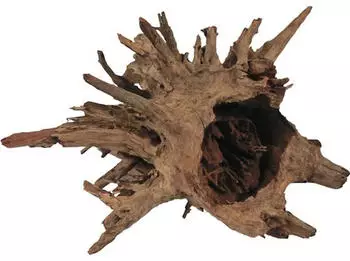 Orbit Corbo-Wurzel M 20 x 30 x 40 cm