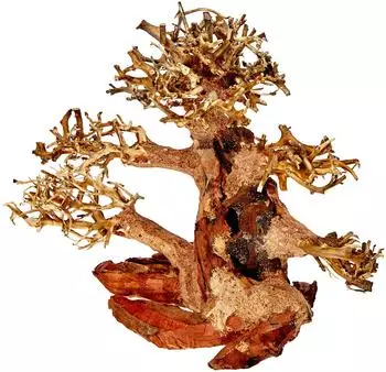 Amtra Holz Oriental WIND 4 SM