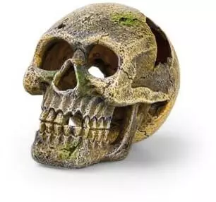 Eden Totenkopf 1 Stk