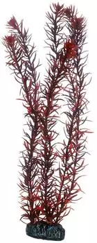 Hobby Aquariumdekoration Eusteralis 39 cm