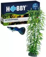 Heteranthera - 34 Cm - K&uuml;nstliche Aquariumpflanze - Hobby