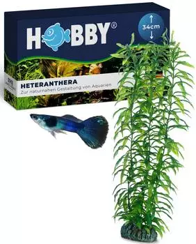 Hobby Heteranthera Aquarium Kunstpflanze H&Atilde;&para;he: 34cm, Sockelbreite: 7cm