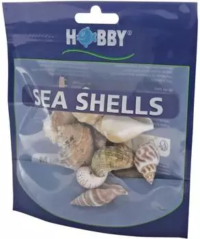Hobby Natur Sea Shells Aquarieneinrichtung Set M (10 Stück)