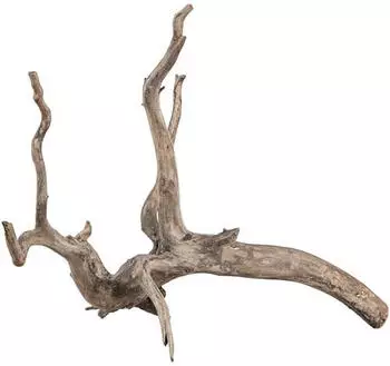 sera Scaper Root XS 18 20 cm