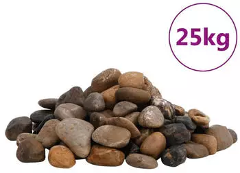 vidaXL Polierte Kiesel 25 kg Mehrfarbig 2-5 cm