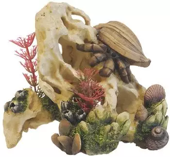 Nobby Aquariendekoration Aqua Ornaments Muschel auf Stein