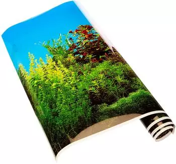 Aquadella Fotor&uuml;ckwand Sch&ouml;nheit und Meer, 80 x 40 cm
