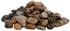 vidaXL Polierte Kiesel 10 kg Mehrfarbig 2-5 cm
