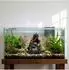 Relaxdays Aquariumdeko Korallenriff Polyresin Bunt 15 cm x 12 cm x 12 cm 0,22 kg