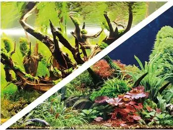 Hobby Fotor&uuml;ckwand-Zuschnitt 120 cm x 50 cm Green Secret/Wood Island