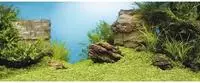 Juwel Aquarium 201484, Juwel Aquarium Fotor&uuml;ckwand (R&uuml;ckwand, sonstige