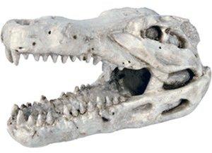 Trixie Krokodil-Schädel (8 x 14 cm)
