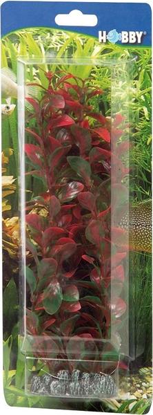 Hobby Ludwigia 25cm