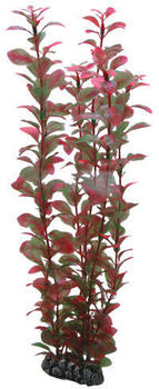 Hobby Ludwigia 34cm