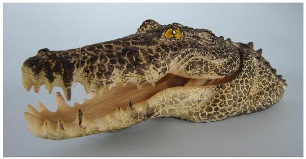 Zooplus Krokodil-Kopf 15x6x5cm