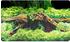 Hobby Fotorückwand Zuschnitt Spring/Moss SB