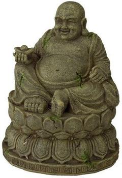 EBI Aqua Della Buddha M (234-429617)
