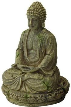EBI Aqua Della Bayon-Buddha 2 (234-429594)