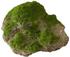 EBI Aqua Della Moss Stone with Suction Cup M (234-430163)