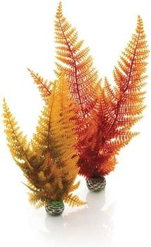 biOrb Herbstfarn Set 2 (46065)