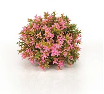 biOrb Blumenball pink (46088)