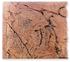 Back to Nature Slimline Red Gneiss 50A 50x45cm
