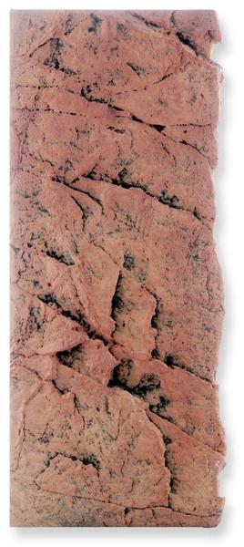 Back to Nature Slimline Red Gneiss 60C 20x55cm